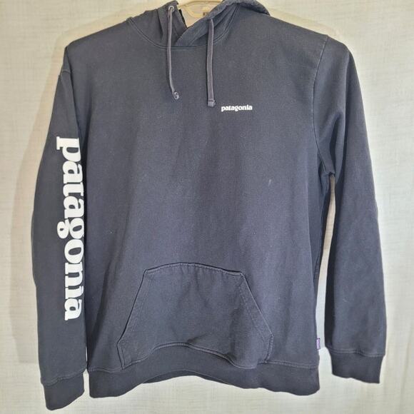 Patagonia Other - Patagonia Hoodie Mens Large Black Pullover Sweatshirt Logo Sleeve Drawstring